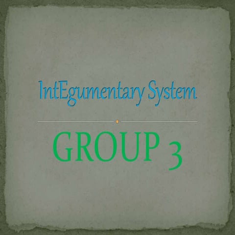 Integumentary system