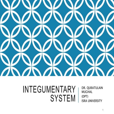 Integumentary system examination
