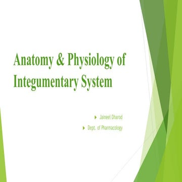 Integumentary system
