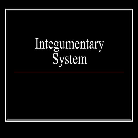 integumentary system.pptx