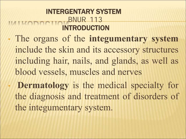 Skin anatomy and physiology | PPTX