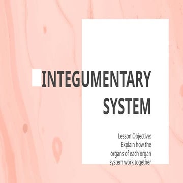 Grade 6 Science Integumentary System.pptx