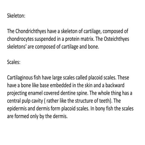 Integument n skeleton