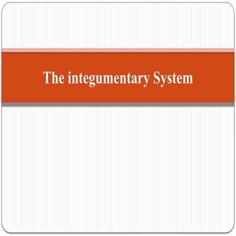 integumentry system. integumentry system in details with diagrams | PPTX