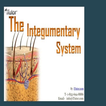 Integumetary System and thier functions.pptx