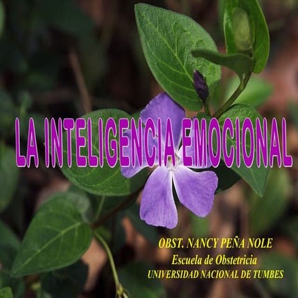 Inteligencia emocional para el éxito