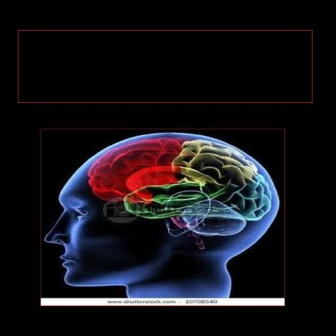 Inteligência Múltiplas  