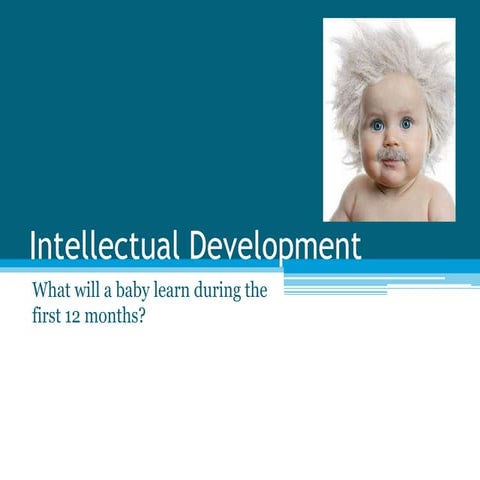 HPC 3O1 - Intellectual Development