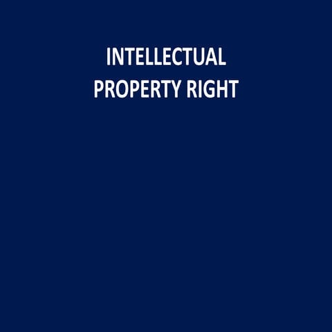 Intellectual property right