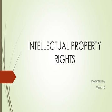 Intellectual property rights