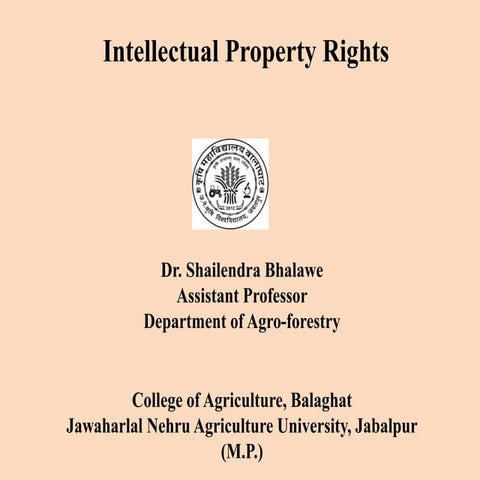 Intellectual property rights