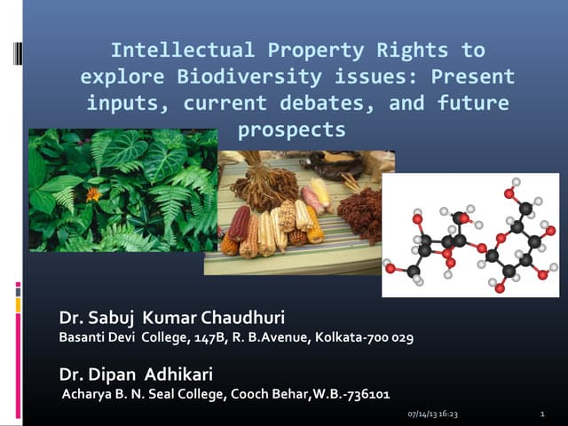 Intellectual Property Rights to explore Biodiversity issues: Present inputs, ...