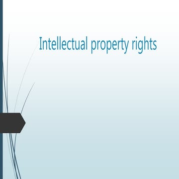 Intellectual property rights 