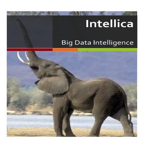 Intellica bigdata