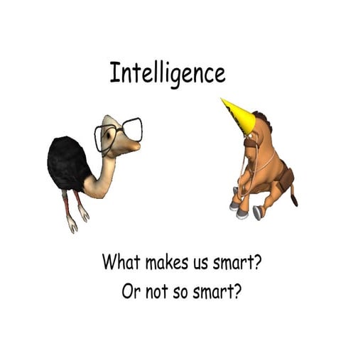 Intelligence