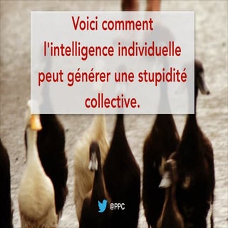 Intelligence collective ou bêtise c...