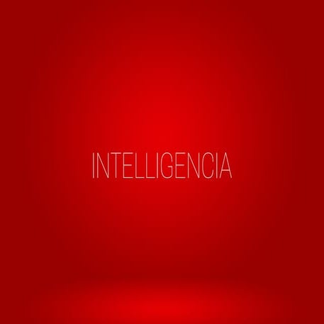 Intelligencia Limited Brochure