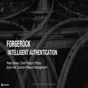 Intelligent Authentication  (Identity Live Berlin 2018)