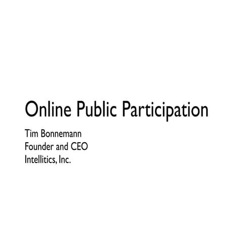 Online Public Participation
