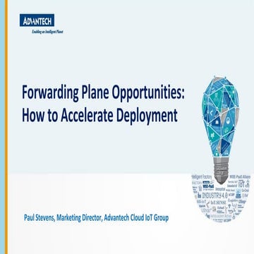 Forwarding Plane Opportunities: How to Accelerate Deployment