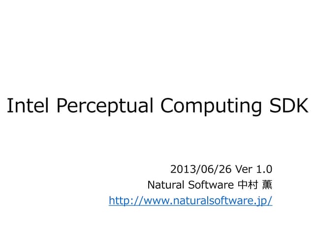 Intel Perceputual Computing SDK 概要