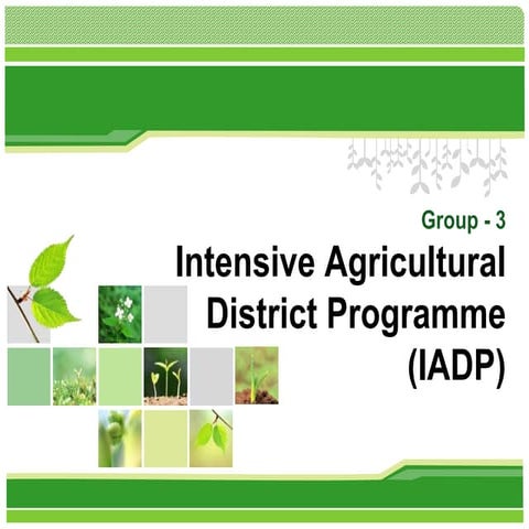 Intensive Agricultural District Programme