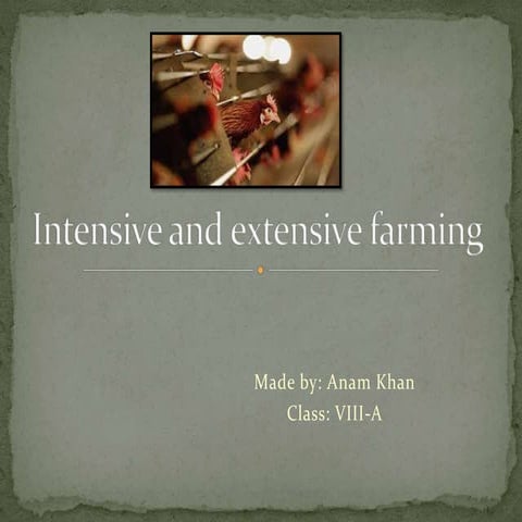 Intensive and extensive farming