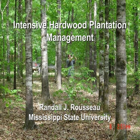 Intensive Hardwood Management