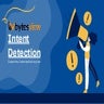 Detect the Intent behind any text data with Bytesview.