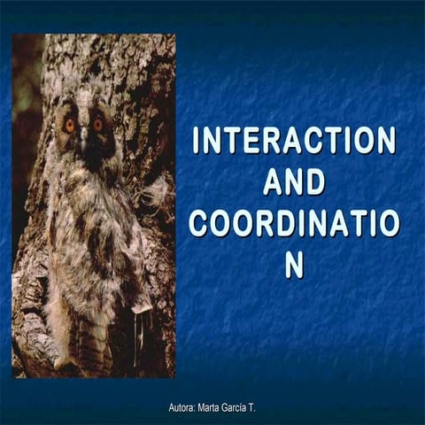Interaction and coordination