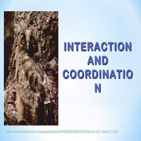 Interactionandcoordination