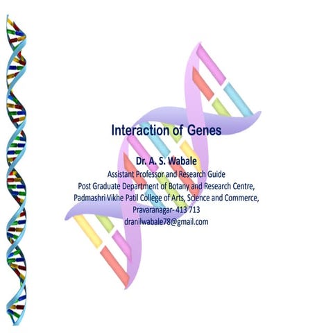 Interaction of genes
