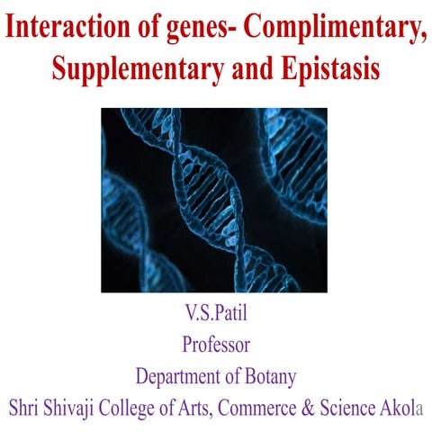 Interaction of genes  complimentary, supplementary and epistasis