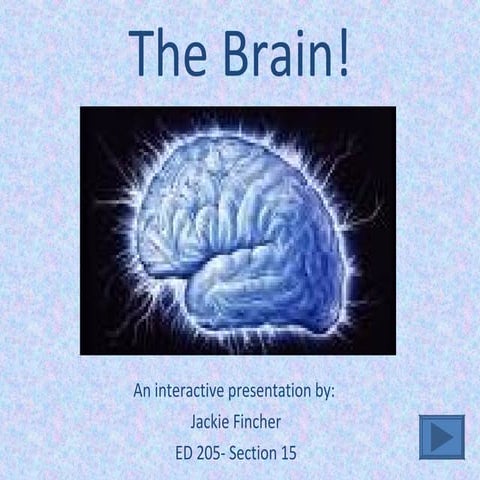 Interactive Ppt Project   The Brain