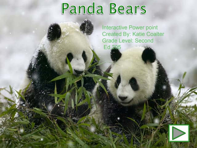 Interactive Powerpoint