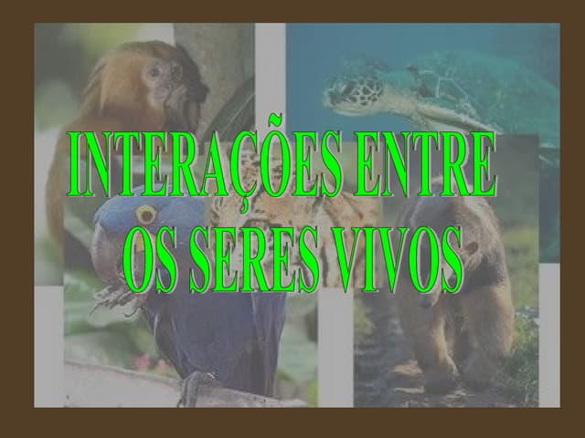 Interação entre os seres vivos