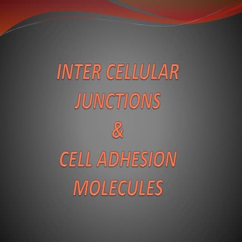 Inter cellular junctions