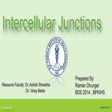 Intercellular Junctions - Types and Location with MCQs 