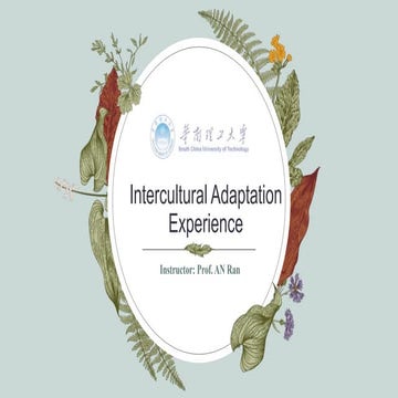 Intercultural Adaptation Experience.pptx