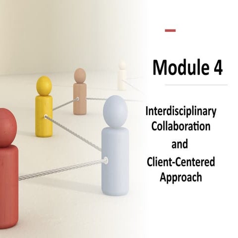 Interdisciplinary_Care_Presentation.pptx