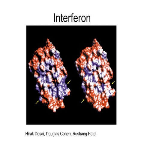 Industrial Production Process for Interferon