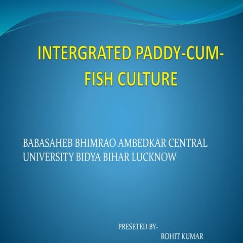 Intergrated paddy cum-fish culture