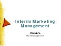 Interim Marketing Management