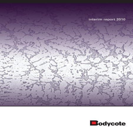 Interim report-2010