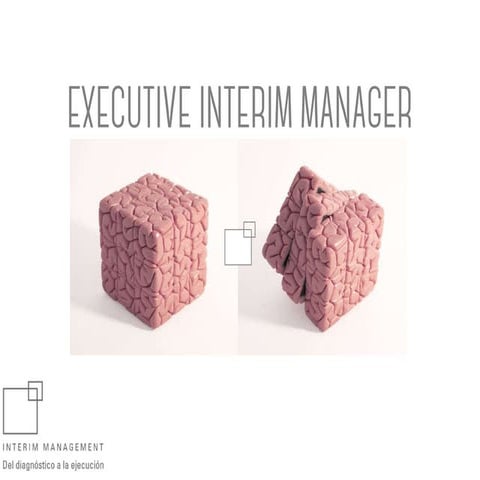 Interim Management