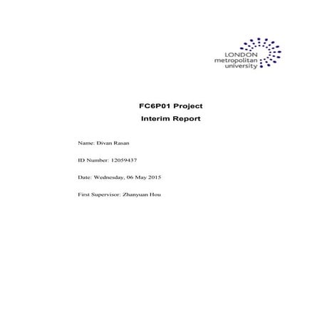 Interim report template
