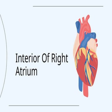 RIGHT ATRIUM power point presentation.pptx