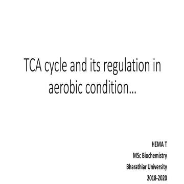 Citric acid cycle/ TCA cycle/ Kreb's cycle