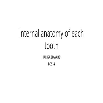 Internal anatomy of each tooth