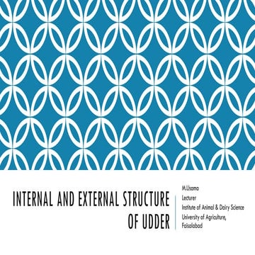 Internal and External structure of udder.pdf